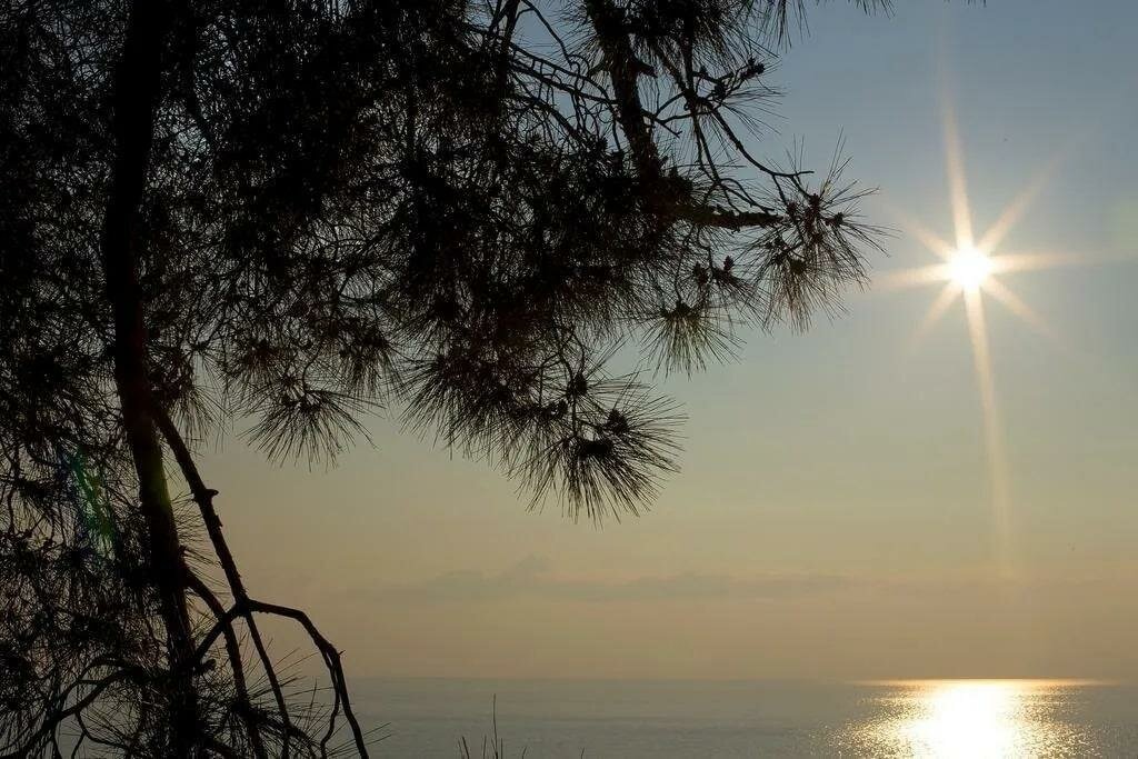 Гостиница Благое Лазаревское-9