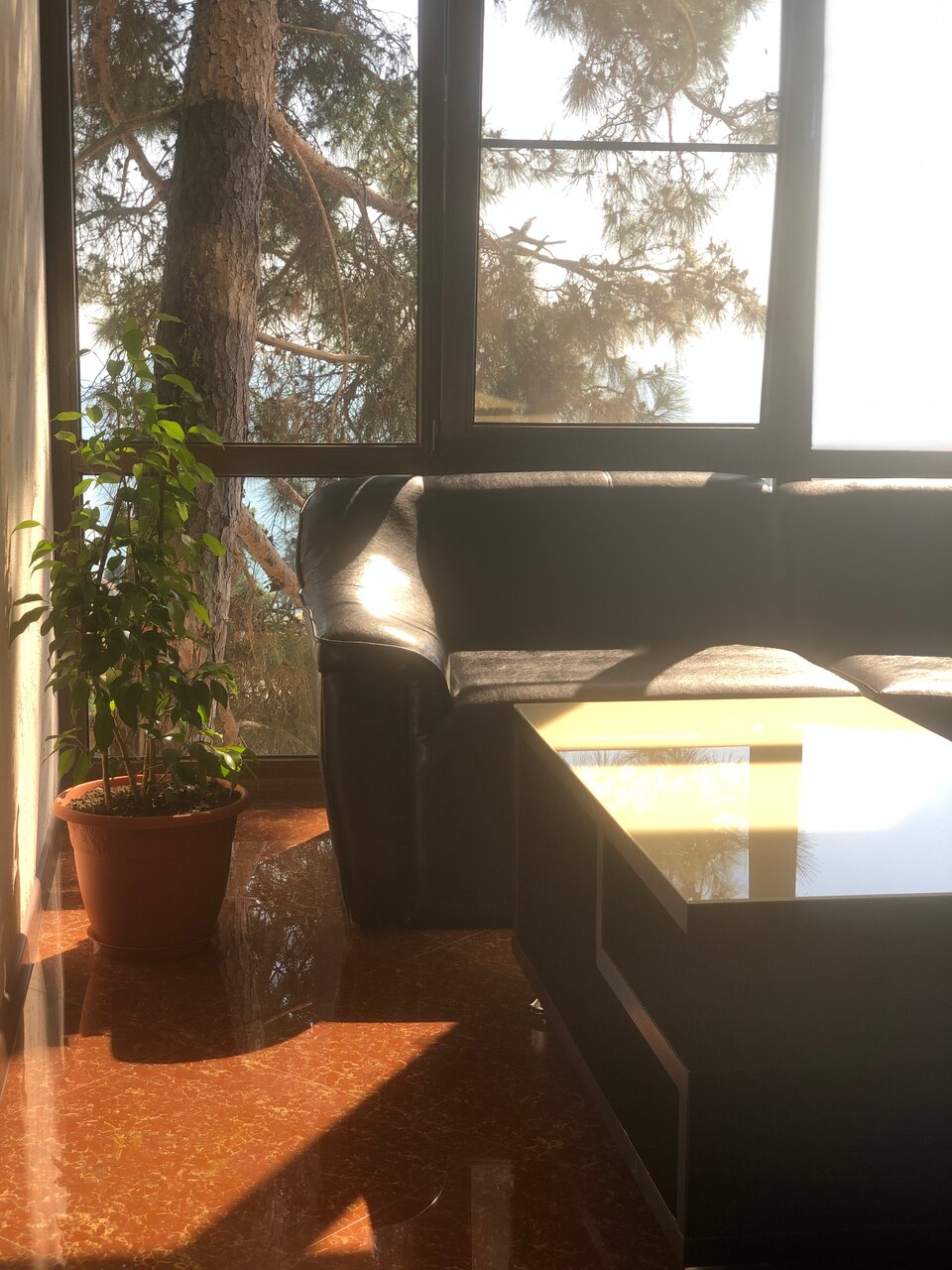 Гостиница Благое Лазаревское-138