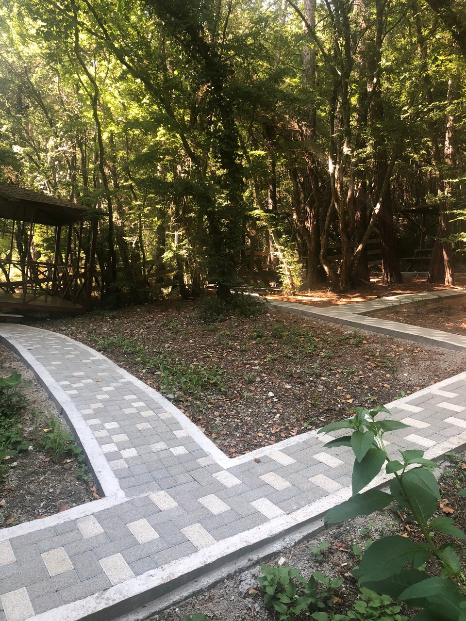 Гостиница Благое Лазаревское-53