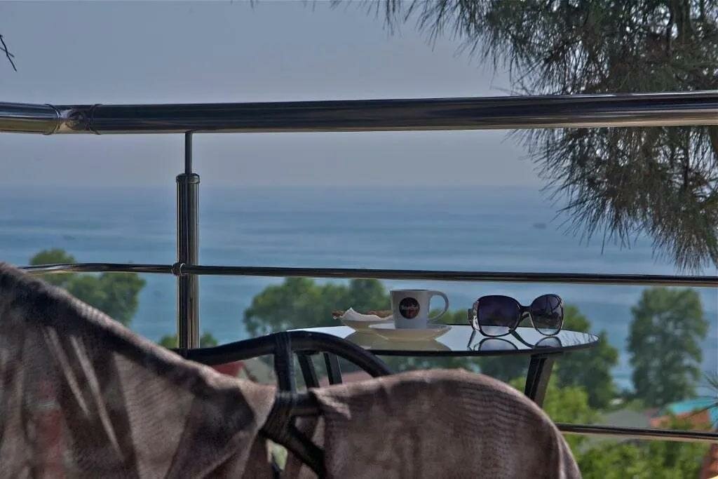 Гостиница Благое Лазаревское-26