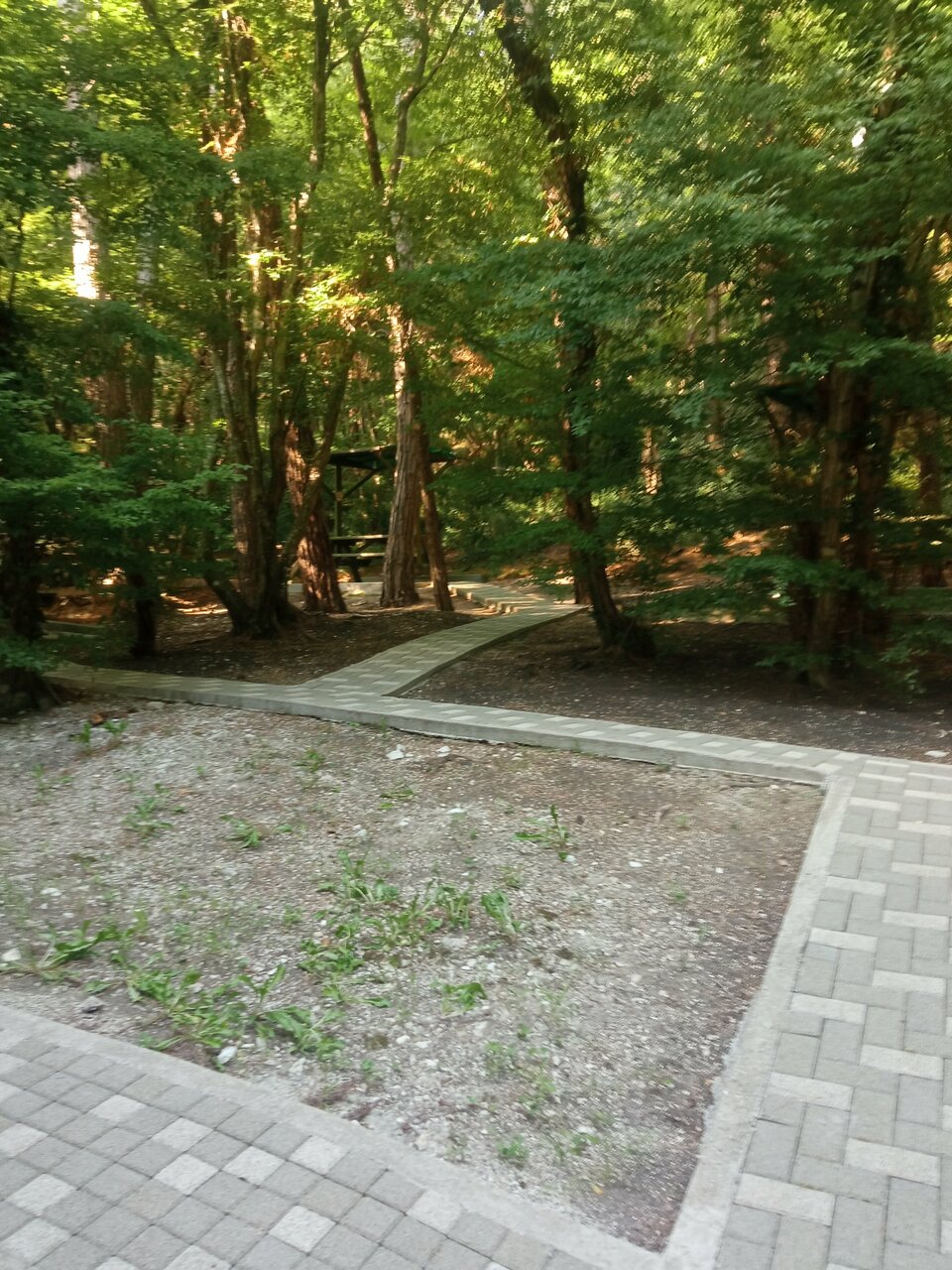 Гостиница Благое Лазаревское-113