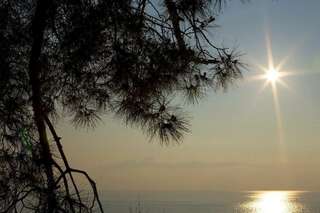 Гостиница Благое Лазаревское-5