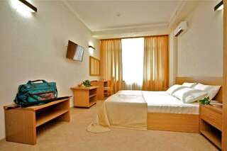 Гостиница Благое Лазаревское Двухместный номер с 1 кроватью-3