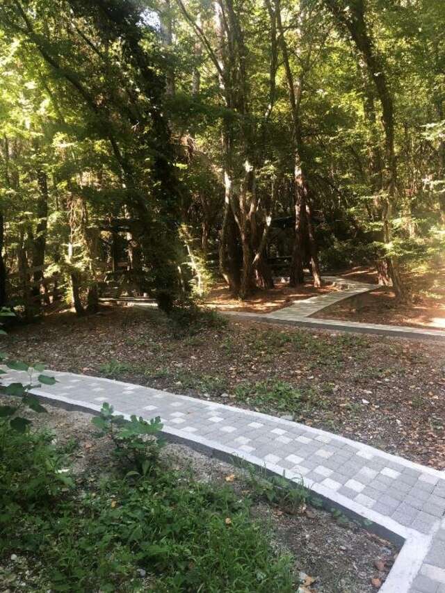 Гостиница Благое Лазаревское-146