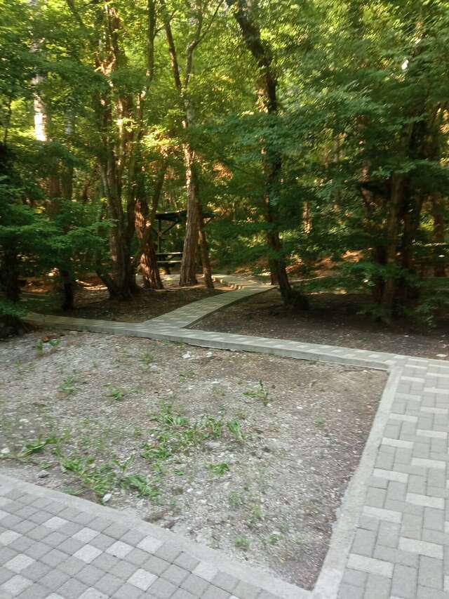 Гостиница Благое Лазаревское-112