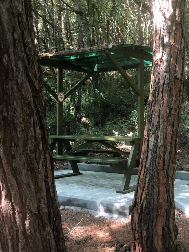 Гостиница Благое Лазаревское-69