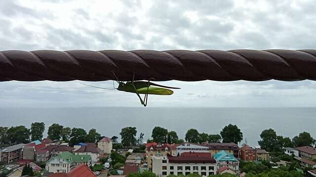 Гостиница Благое Лазаревское-63